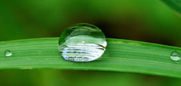 IRRIGATION REPAIR